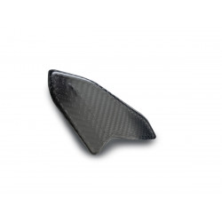 Carbonteile Tuning Schwenkarmabdeckung swinging arm cover guard Carbon passend für Ducati Panigale V4 V4S V4R V4SP V4SP2 Cors...