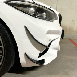 Carbonteile Tuning 1776 - Canards Splitter Flaps Front passend für BMW M2 Competition F87