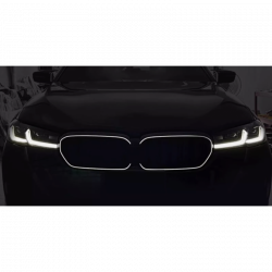 Carbonteile Tuning Nieren Grill Honeycomb Kühler Beleuchtet ABS Glanz für BMW 3er G20 und G21 Facelift - 3009