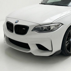 Pièces en carbone Tuning 1960 - Flaps Splitter Canards Carbon passend für BMW M2 F87