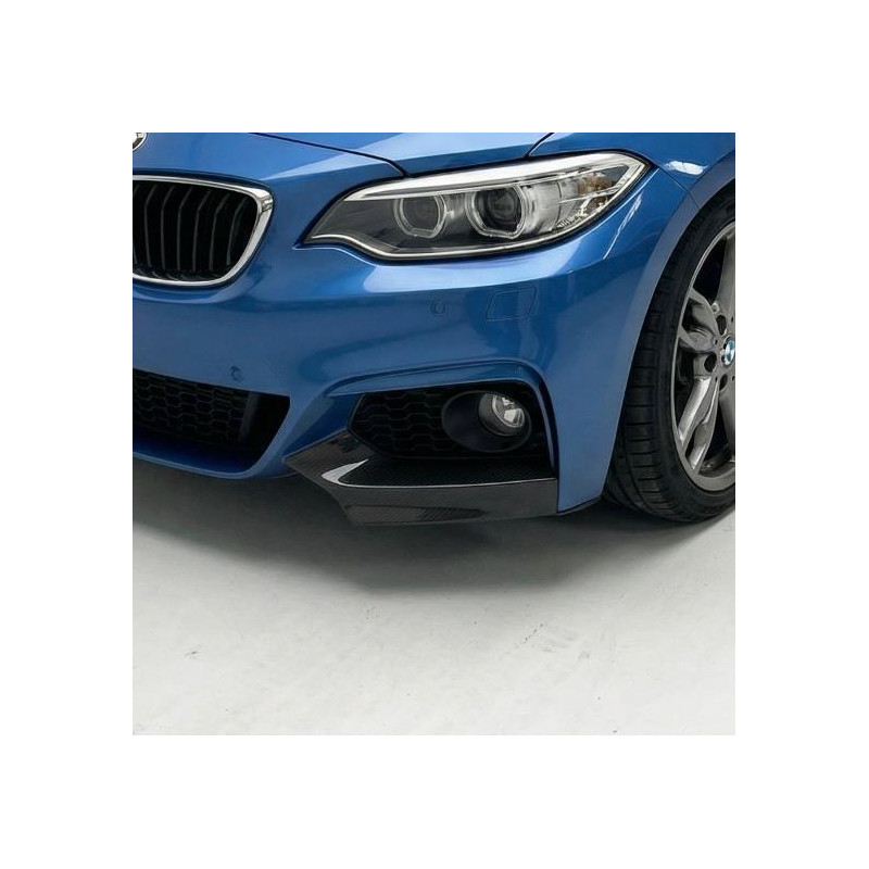Carbonteile Tuning 1569 - Flaps Carbon passend für BMW 2er F22 F23 mit MPaket