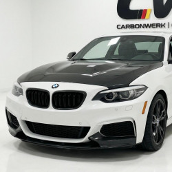 Carbonteile Tuning 1007 - Frontlippe Lippe Frontspoiler Schwert V2 Carbon passend für BMW 2er F22 F23